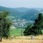 Upland - Zeitgeist Mit Garten, Grillhuette, Spielplatz Und Meinecardplus Willingen (Upland)